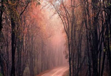 亚冬会|国家体育总局官员:中华体育精神在亚冬会熠熠生辉2025-02-11.