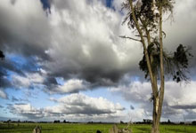 玩加电竞官网：[国]颜骏凌：我们最大的动力就是为主场而战.