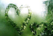 玩加电竞官网:金牌进账 余依婷游得更有底气了.