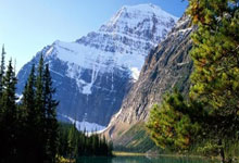 玩加电竞官网:上海115-93深圳,赛后迎3喜1忧!哈维+2将展露状态,梅肯曝弊端!.