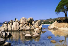 玩加电竞官网：[天下足球]11轮17球 凯恩超越上季金靴.